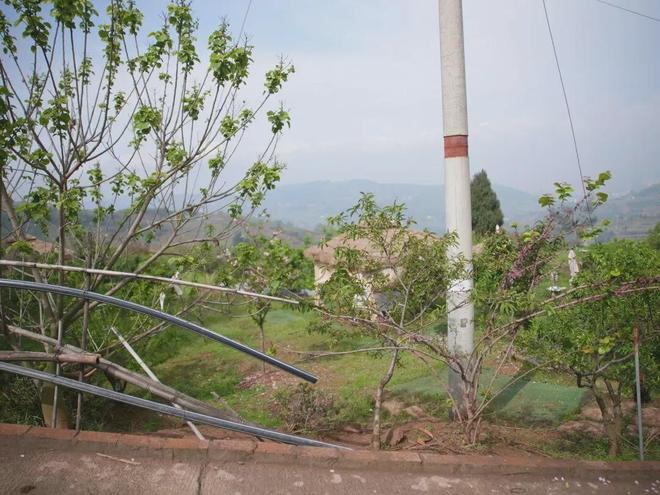 乡村旅游途中，骑友“抄近路”摔倒身亡，从事旅游开发的村是否要担责？
