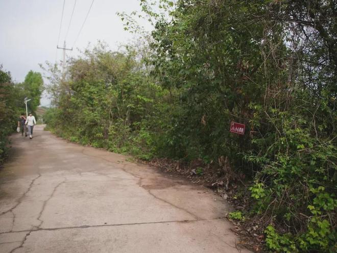 乡村旅游途中，骑友“抄近路”摔倒身亡，从事旅游开发的村是否要担责？