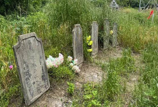武汉调查一村庄585人62人患癌